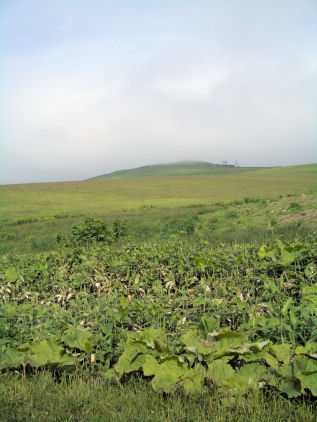 CIMG2472.JPG