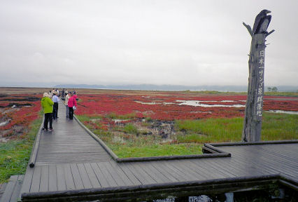 0918_サンゴ草.jpg