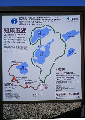 日本＆英語.jpg