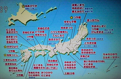 1111_ご当地の「※」.jpg 1111_ご当地の「※」.jpg