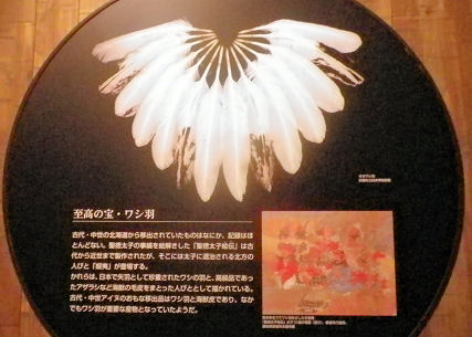 0801_鷲の羽根.jpg