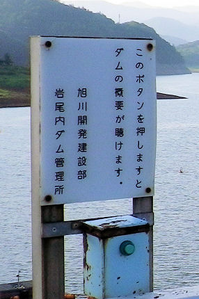 0820_不思議な牡丹？.jpg