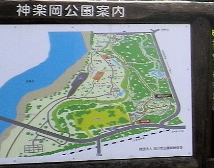 0801_神楽岡公園案内図.jpg