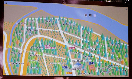 0801_見本林案内図.jpg