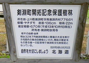 0820_剣淵ヤチダモ説明.jpg