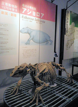 0613_足寄アショロア.jpg