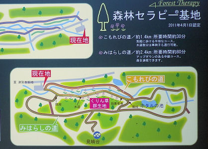0531_森林セラピー図.jpg