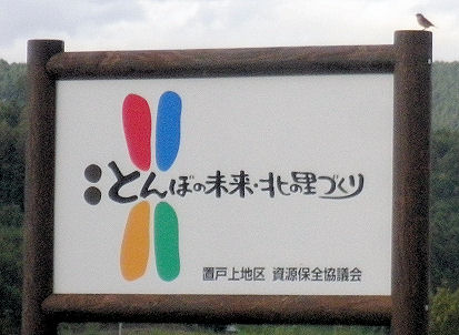 0920_とんぼの未来.jpg