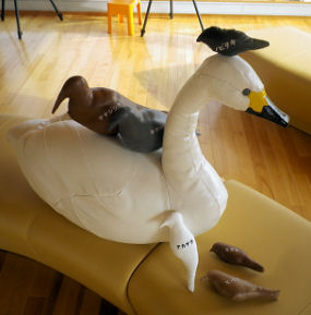 0914_鳥のいろいろ.jpg