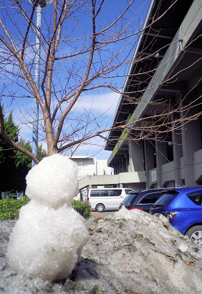 0220_秩父宮×雪達磨.jpg 0220_秩父宮×雪達磨.jpg