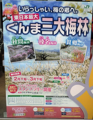 0219_ぐんま三大梅林.jpg