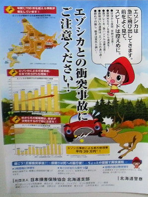 0919_エゾシカ注意！.jpg