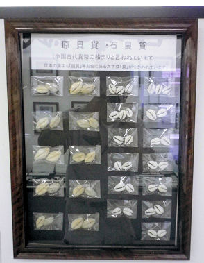 0525_原貝貨.jpg