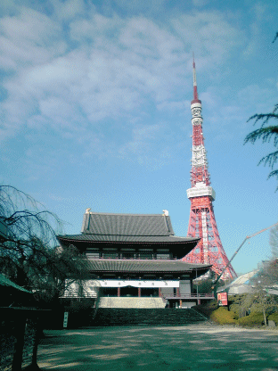 増上寺＆東京タワー.gif
