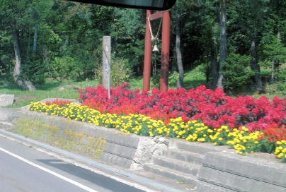 CIMG1711-1.jpg