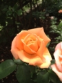 f:id:hotken105:20120520125416j:image:medium f:id:hotken105:20120520125416j:image:medium