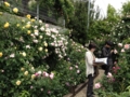 f:id:hotken105:20120520125844j:image:medium f:id:hotken105:20120520125844j:image:medium