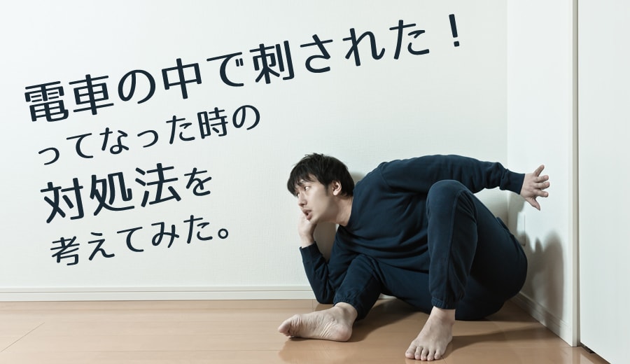 f:id:hotkoala:20170926232836j:plain f:id:hotkoala:20170926232836j:plain