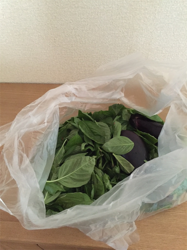 f:id:hotmilkmama:20160907221841j:image f:id:hotmilkmama:20160907221841j:image