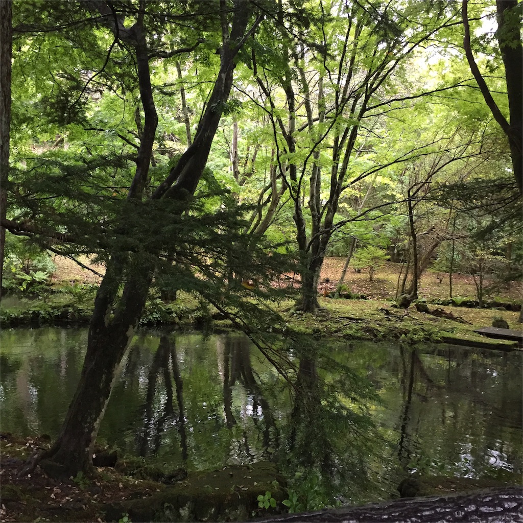 f:id:hotmilkmama:20161014162602j:image