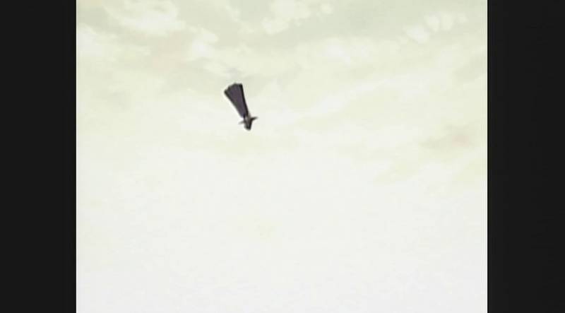 f:id:hotomaru:20090919145756j:image