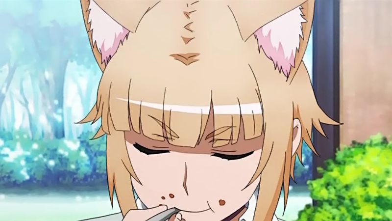 f:id:hotomaru:20140301234707j:image