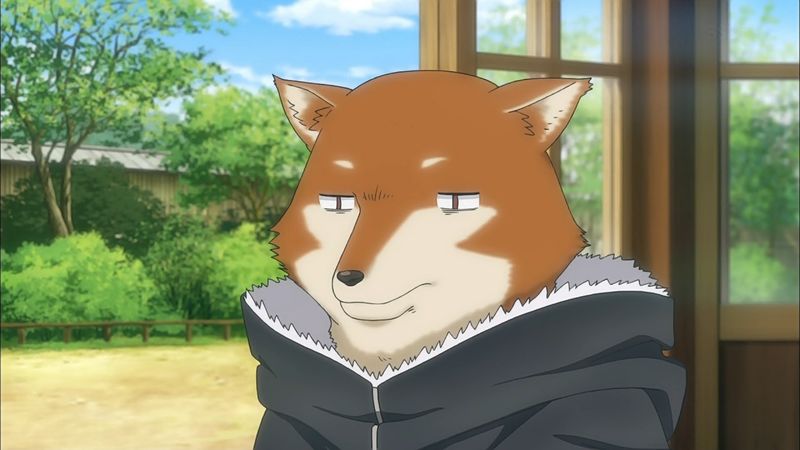 f:id:hotomaru:20160512230343j:image