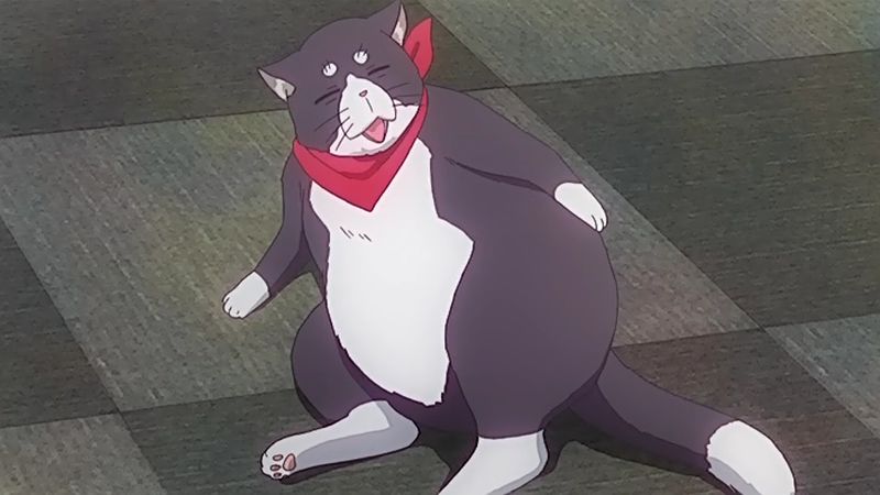 f:id:hotomaru:20160907203228j:image f:id:hotomaru:20160907203228j:image