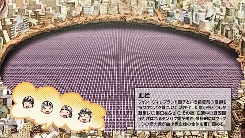 f:id:hotomaru:20180719214624j:image