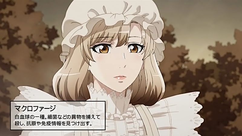 f:id:hotomaru:20180823210325j:image