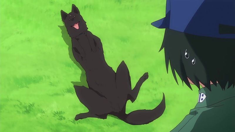 f:id:hotomaru:20181110213109j:image