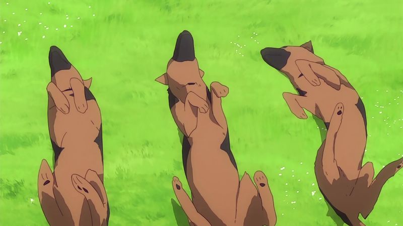 f:id:hotomaru:20181110213112j:image