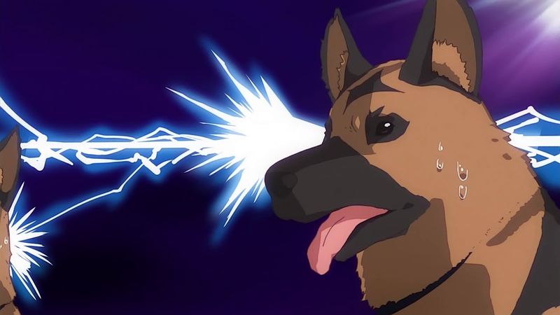 f:id:hotomaru:20181110213115j:image