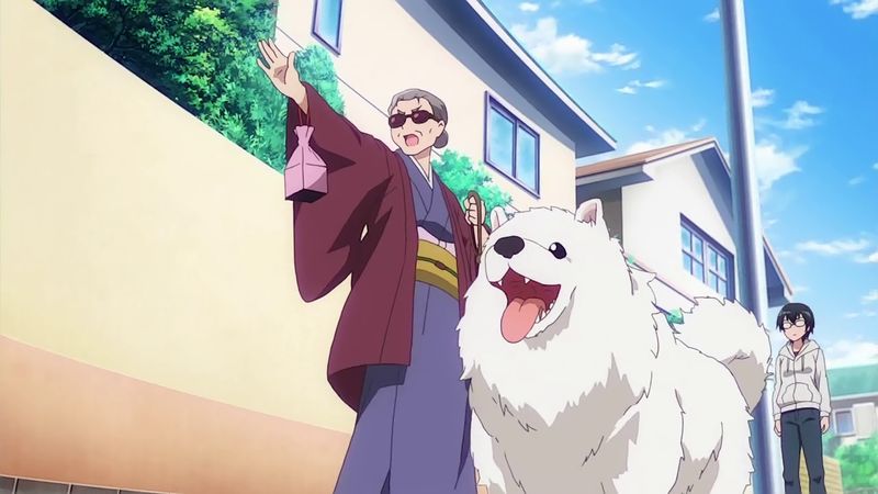 f:id:hotomaru:20181118124253j:image f:id:hotomaru:20181118124253j:image