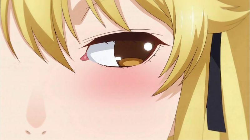 f:id:hotomaru:20190206231439j:plain f:id:hotomaru:20190206231439j:plain