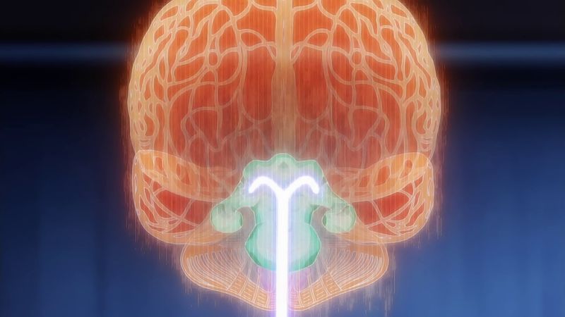 f:id:hotomaru:20190211221349j:plain