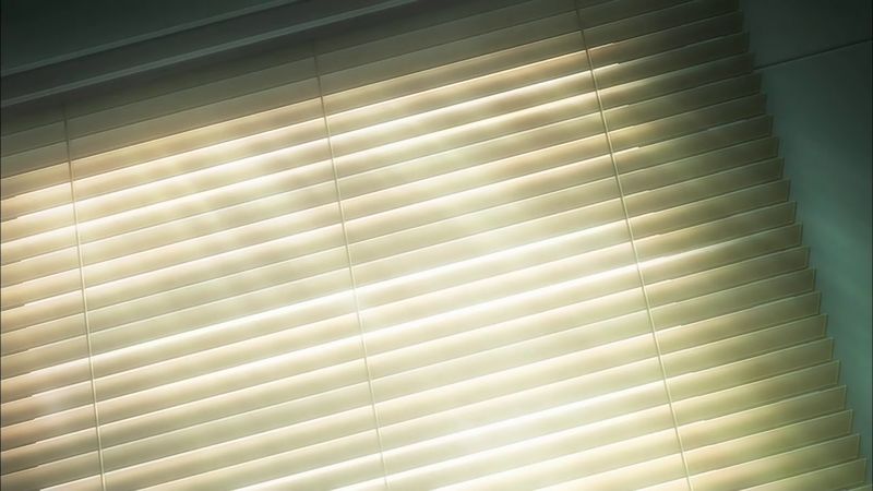 f:id:hotomaru:20190217221808j:plain f:id:hotomaru:20190217221808j:plain