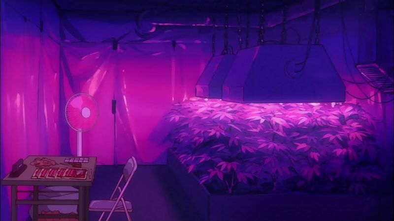 f:id:hotomaru:20190421170855j:plain