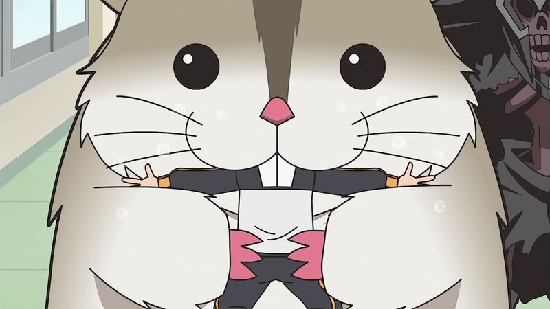 f:id:hotomaru:20190613220017j:plain f:id:hotomaru:20190613220017j:plain