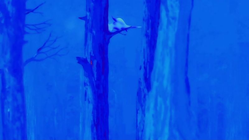 f:id:hotomaru:20190616230830j:plain