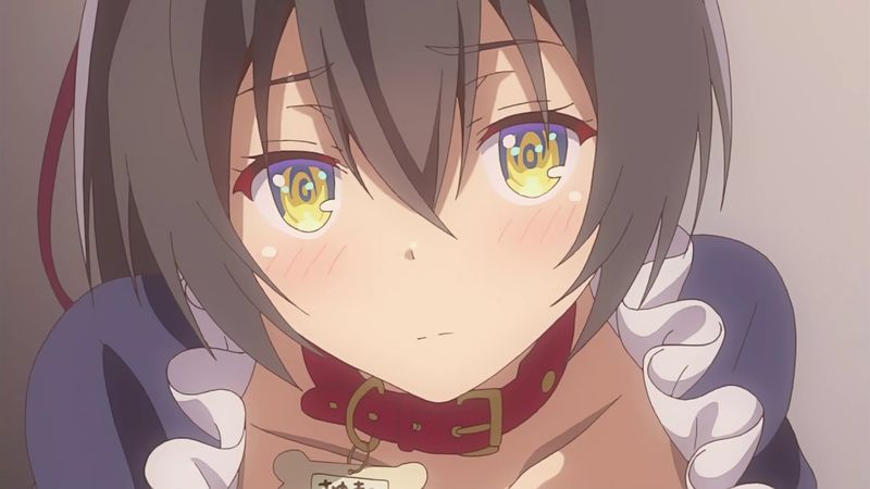 f:id:hotomaru:20190722230003j:plain