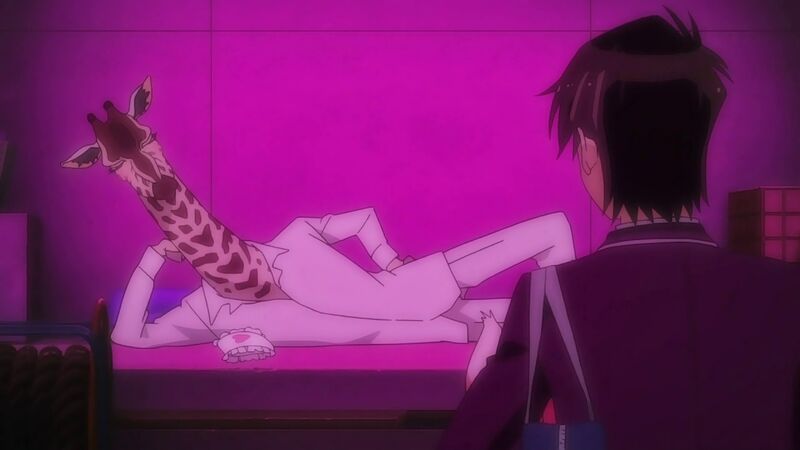 f:id:hotomaru:20200311212915j:plain f:id:hotomaru:20200311212915j:plain