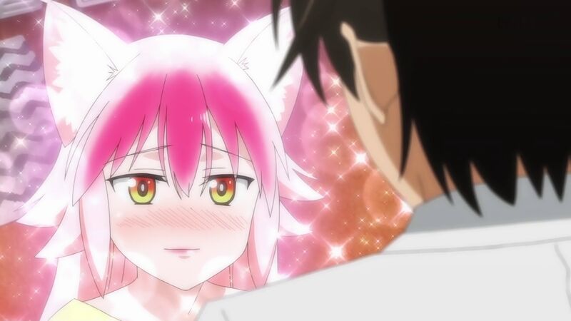 f:id:hotomaru:20200311212949j:plain f:id:hotomaru:20200311212949j:plain