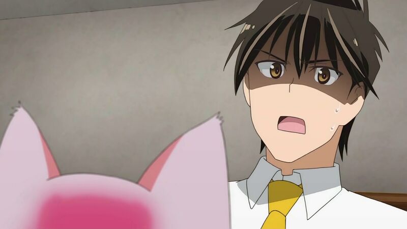 f:id:hotomaru:20200311212958j:plain f:id:hotomaru:20200311212958j:plain