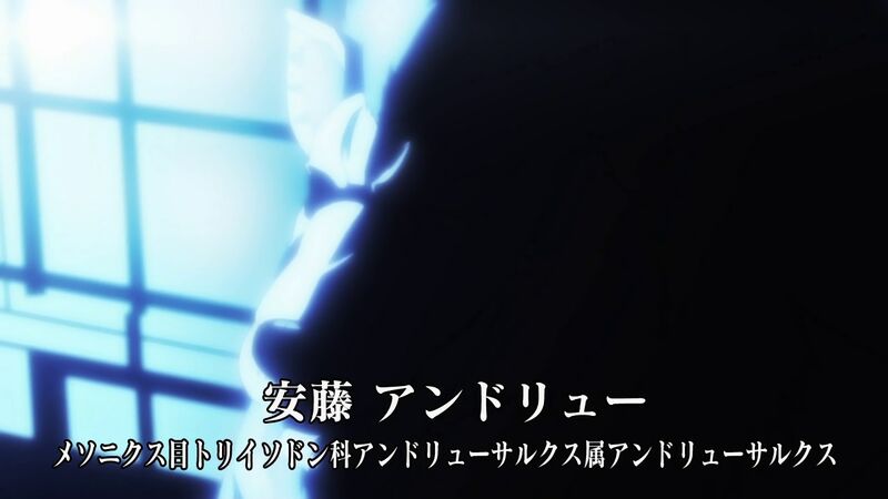 f:id:hotomaru:20200311213248j:plain f:id:hotomaru:20200311213248j:plain