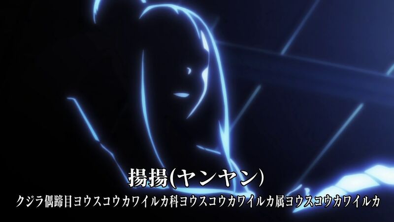 f:id:hotomaru:20200311213253j:plain f:id:hotomaru:20200311213253j:plain