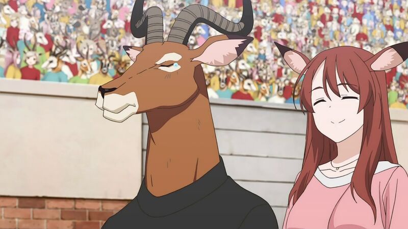 f:id:hotomaru:20200311213359j:plain f:id:hotomaru:20200311213359j:plain