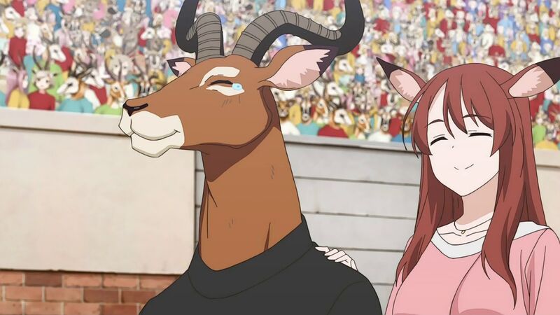 f:id:hotomaru:20200311213412j:plain f:id:hotomaru:20200311213412j:plain