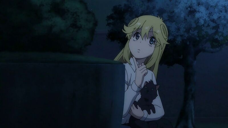 f:id:hotomaru:20200318225403j:plain f:id:hotomaru:20200318225403j:plain