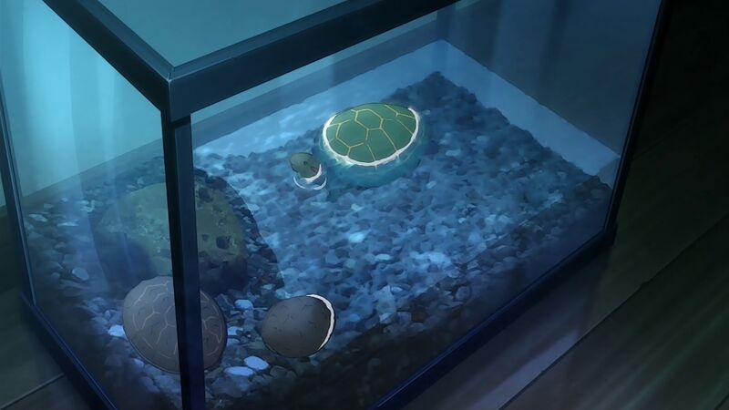 f:id:hotomaru:20200425133939j:plain